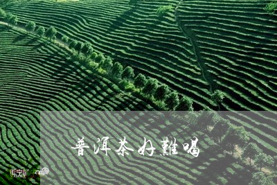 普洱茶好难喝/2023042963091