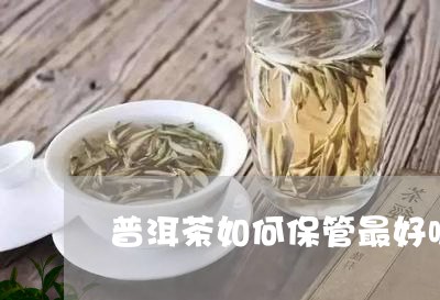 普洱茶如何保管最好呢图片/2023112455059