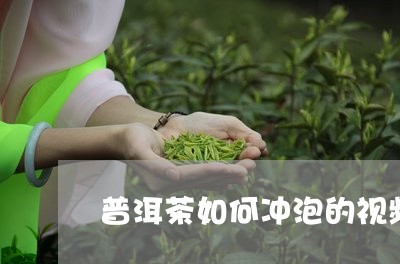 普洱茶如何冲泡的视频/2023080297359