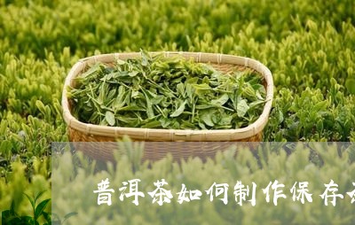 普洱茶如何制作保存茶的方法/2023121649150