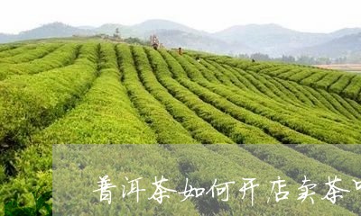 普洱茶如何开店卖茶叶茶/2023121669272