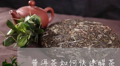 普洱茶如何快速醒茶/2023070917168