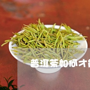 普洱茶如何才能醒茶/2023070938483