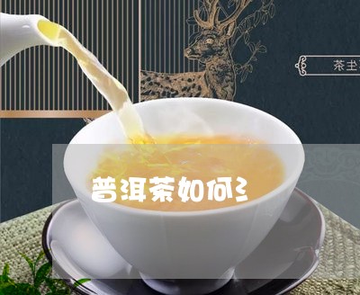 普洱茶如何氵/2023042787849