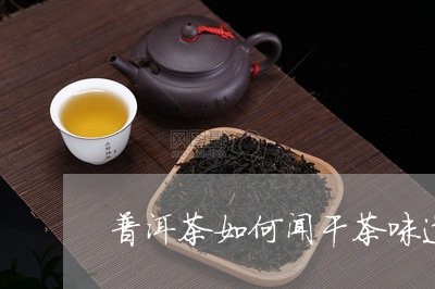 普洱茶如何闻干茶味道好喝/2023121671613