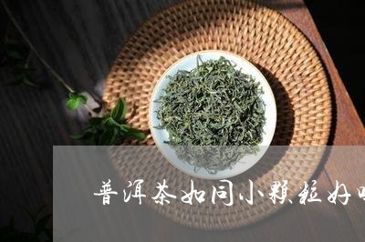 普洱茶如同小颗粒好吗/2023062748683