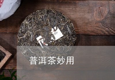 普洱茶妙用/2023090630638