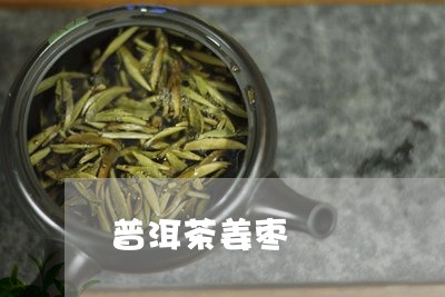 普洱茶姜枣/2023102506360