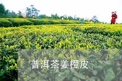 普洱茶姜橙皮/2023042834539