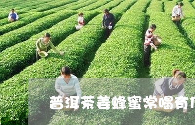 普洱茶姜蜂蜜常喝有什么好处/2023052849502