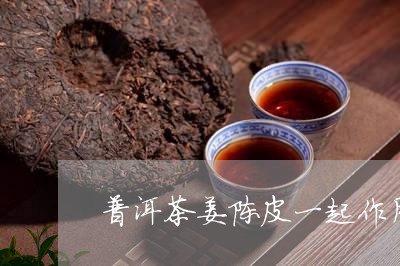 普洱茶姜陈皮一起作用/2023092761847