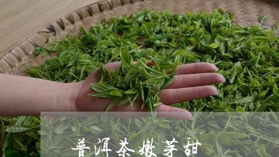 普洱茶嫩芽甜/2023101693949