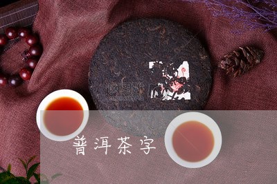 普洱茶字/2023121863715