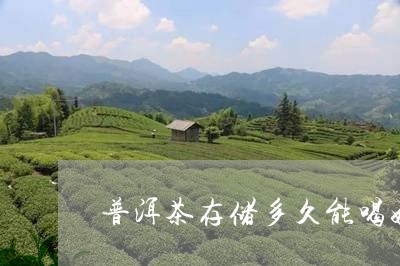 普洱茶存储多久能喝好喝/2023050759312