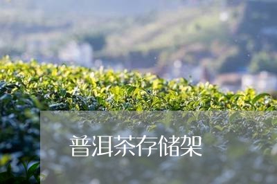 普洱茶存储架/2023042806546