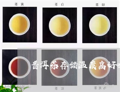 普洱茶存储温度高好吗吗/2023050638504