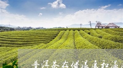 普洱茶存储湿度和温度/2023062505271