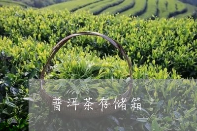 普洱茶存储箱/2023042844161