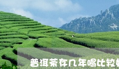 普洱茶存几年喝比较好/2023061605037