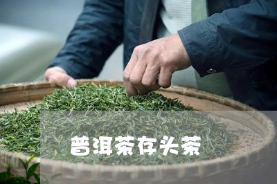 普洱茶存头茶/2023042887994