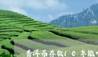 普洱茶存放10年能喝吗/2023122662513