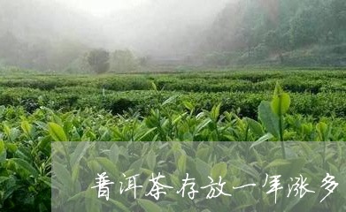 普洱茶存放一年涨多少/2023092692816