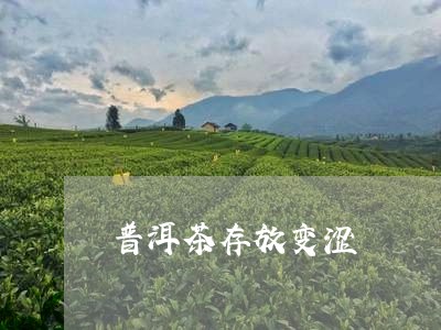 普洱茶存放变涩/2023083070492