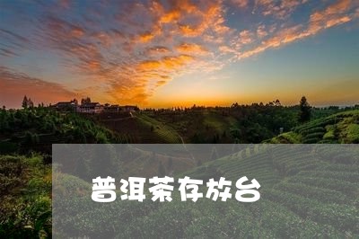 普洱茶存放台/2023042676373