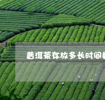 普洱茶存放多长时间好/2023072264159