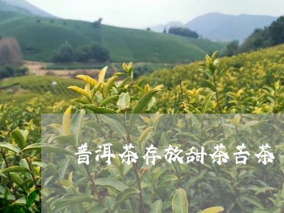 普洱茶存放甜茶苦茶/2023121605258