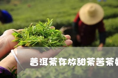 普洱茶存放甜茶苦茶好吗/2023102467250