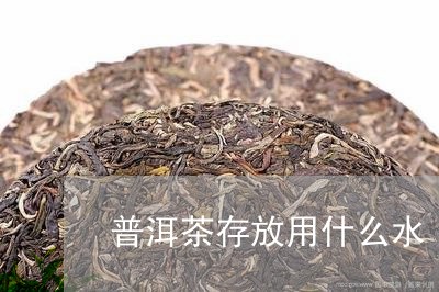 普洱茶存放用什么水/2023071125939