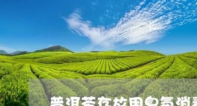 普洱茶存放用臭氧消毒/2023100718292