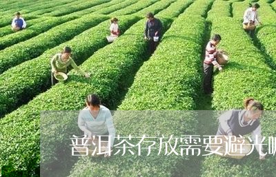 普洱茶存放需要避光嘛为什么/2023082819715