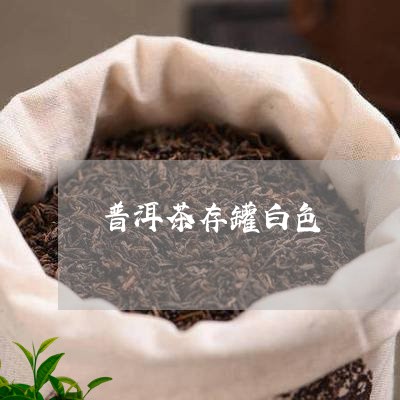 普洱茶存罐白色/2023101693025