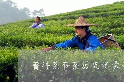 普洱茶存茶历史记录表格/2023083031958