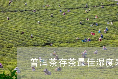 普洱茶存茶最佳湿度表/2023120605382