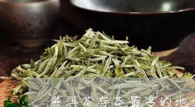 普洱茶存茶最多的地方/2023080241602