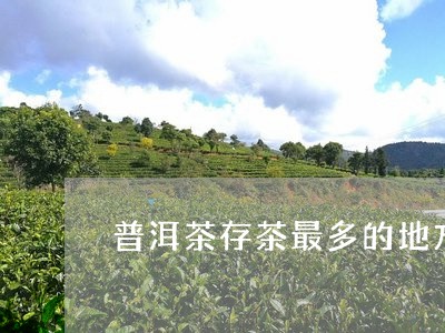 普洱茶存茶最多的地方/2023100713716