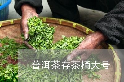 普洱茶存茶桶大号/2023120480682