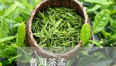 普洱茶孟/2023083195040