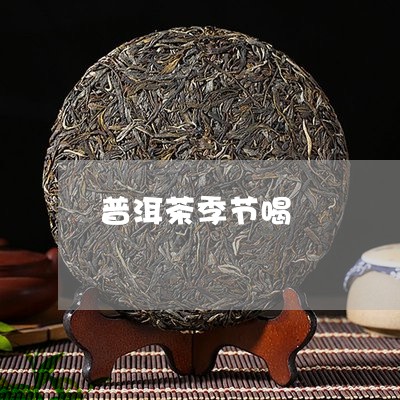 普洱茶季节喝/2023042831510