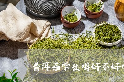 普洱茶学生喝好不好喝的/2023083086148