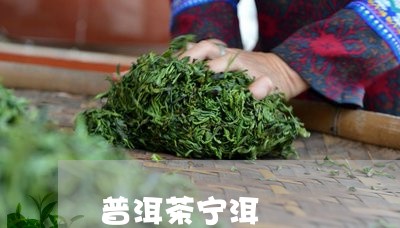 普洱茶宁洱/2023090562806