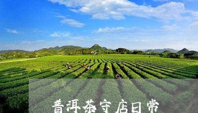 普洱茶守店日常/2023120388392