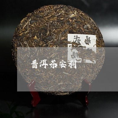 普洱茶安利/2023090568370