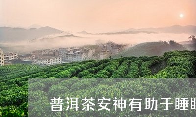 普洱茶安神有助于睡眠/2023062195301