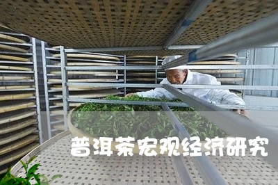 普洱茶宏观经济研究/2023091503959