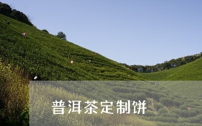 普洱茶定制饼/2023042652720