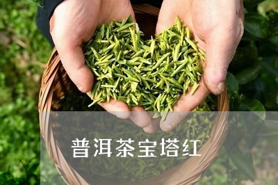 普洱茶宝塔红/2023042619695